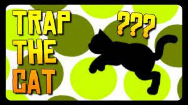 Clever Cat Strategy Puzzle