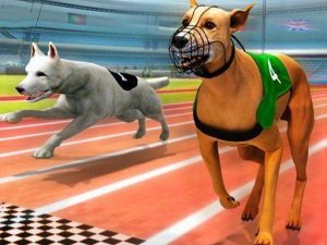 Real Dog Racing Simulator 3D Online Game