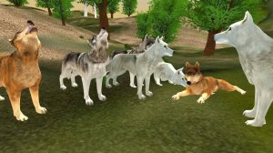 Wild Wolves Hunger Attack Online Game
