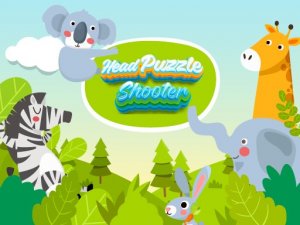 Head Puzzle Match Arcade