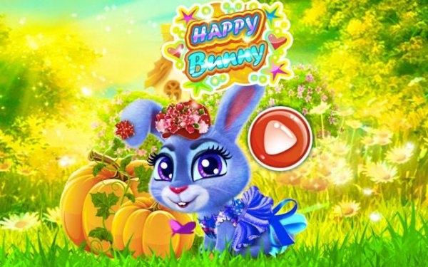 Pet Rabbit Grooming & Fashion Play