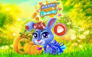 Pet Rabbit Grooming & Fashion Play