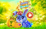 Pet Rabbit Grooming & Fashion Play