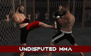 Champion MMA Sports Arcade